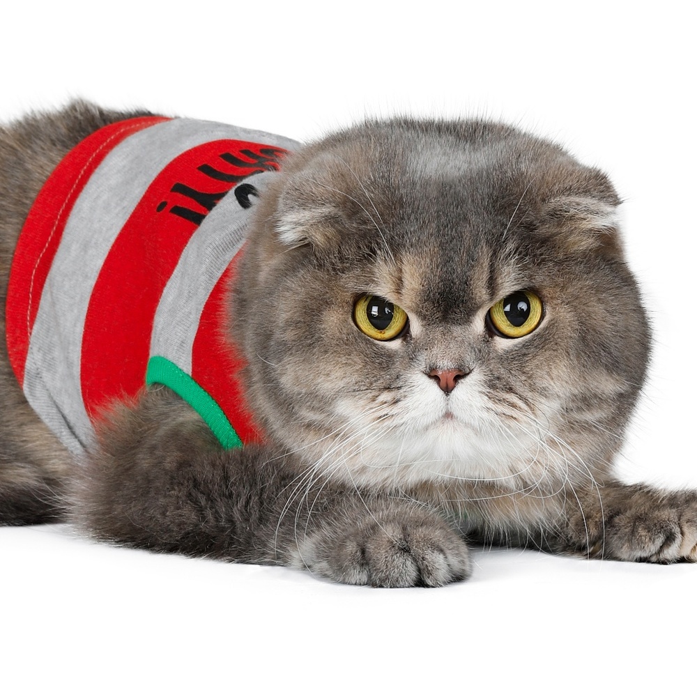 Dr. Seuss Grinch "Never Naughty" Cat Shirt